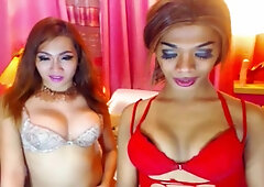 Amateur Hot Shemale Duo Loves To Fuck