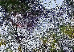 Raw fucked by stranger in the park