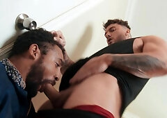 Why Not Bi: Unleashing the Wild Side of a Gay Bridal Party