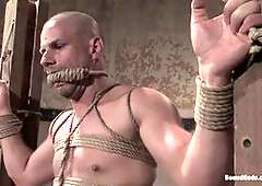 Dominant bodybuilders Tober Brandt and Park Wiley put their submissive through a wild ride