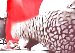 Scary monster male FTM spanks his cunt, bazookas, and booty, Masturbates and groans!