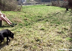 Compilation of many Movies of Public Orgy in Parks