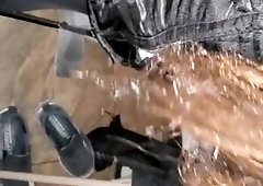 Fresh glory breezy 1