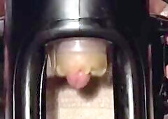 Nut November courtesy of Cock Milking Machine