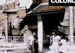 Escort's travelling video by Color Climax