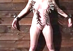 BDSM chick gets whipping and body torment before pussytoying