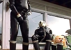 Roxina Spring Flower X