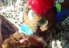 Jizz on fursuit until downright facialed