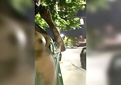 Just Wanted to Give the Streets a little Show