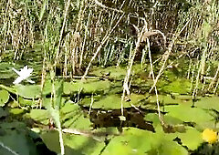 Stop Swimming and Screw Me - Real Outdoor Sex - 4K