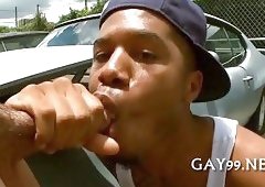 Great gay interracial fun