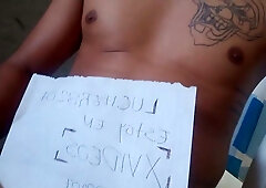 Verification vidw