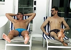 Homo, breeding, gay latin