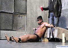 The Taming Of A Stallion - Part Two