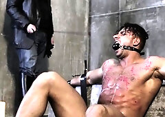 The Taming Of A Stallion Part Ii