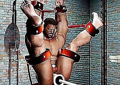 Chris in complete submission