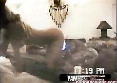 Pamela Anderson in her hot blowjob scandal sucking on Bret Michaels stiff cock