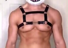 Fucking a pumpkin while wearing my harness  Halloween Special  Josh Duckworth (josshduckwort