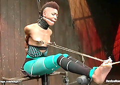 Nikki Darling In Sleek Panther Ebony