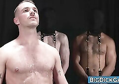 Sean Xaviers Breeding Fest Stallions Leashed and Inspected