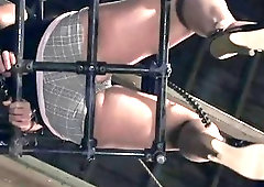 Hot sexy girl loves attention in her little cage BDSM