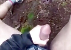 A walk in the wood with happy end 3