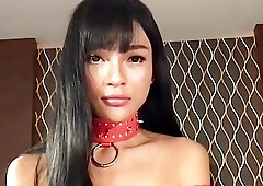 Teen Ladyboy Sakura Sucks Dick and Fucked