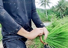 Big cock bareback, falling in love