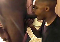 Black Guys Cock Sucking