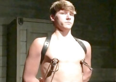 Gonzo, jocks, suck off