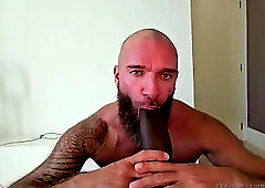 BBC and hairy blonde bear