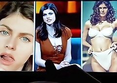 Fellow, tributes, homo