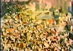 Vintage Guys Ass Fucking