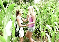 The outside cornfields may enough conceal a lesbo pair.