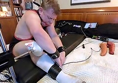 Now oscar trains with rubber pigs