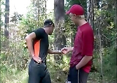 1 teasers in the forest