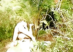 Amateur gay sex in the forest jungle