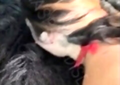 Lucky guy in monkey costume gets hot blowjob from sexy babe