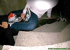 Sneaker, gay sniff shoes, dc shoes