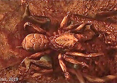 Skyrim Arachnophile Alien Spider Monster Lust Anal Fuc