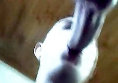 youthful french suck