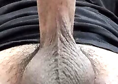 A fat hardy cock jerking off