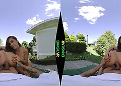 Beat Off Around The Bush - BrasilVR