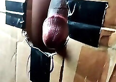 Gloryhole teen long cock sucks at the adult store