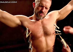 Bear Dom Drake Jaden Gave Dirk Caber A Excellent Clamping Ache