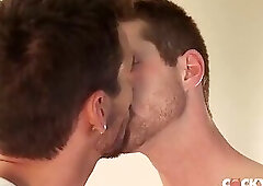Gay anal sex