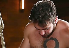 Dante Colle Breaks Down Obedient Yinnie