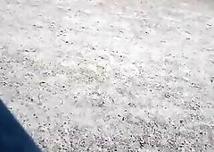 Sissy and bird in public park