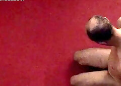 The Berlin Sessions One ((wrestling, Otk, Bare Hand And Hairbrush Spanking & Face-slapping)