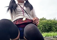 Insert, anal toy
